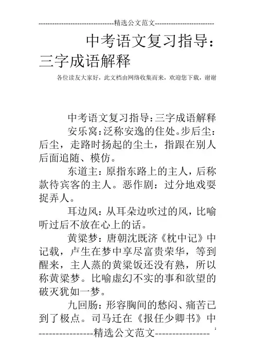中考语文复习指导：三字成语解释