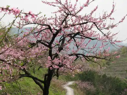 《惠崇春江晚景》课件ppt