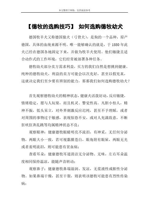 【德牧的选购技巧】 如何选购德牧幼犬