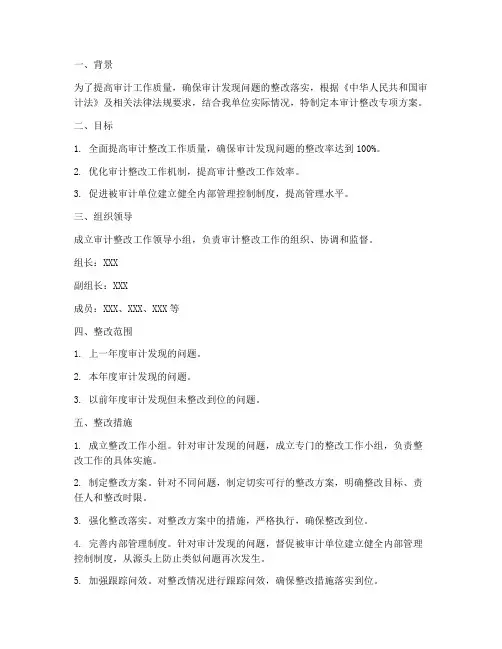 审计整改专项方案