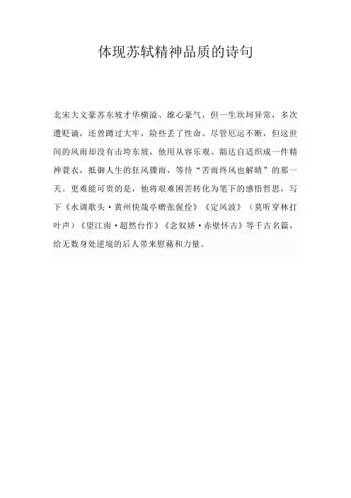体现苏轼精神品质的诗句