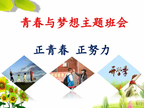 2021青春与梦想主题班会PPT(精品)中学高中课件《正青春 正努力》