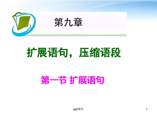 扩展语句,压缩语段  ppt课件