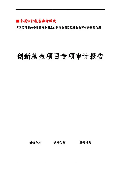 专项审计报告参考样式