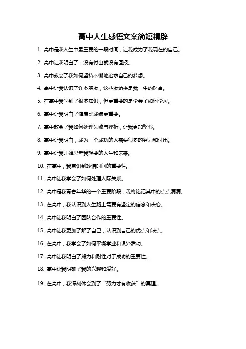 高中人生感悟文案简短精辟