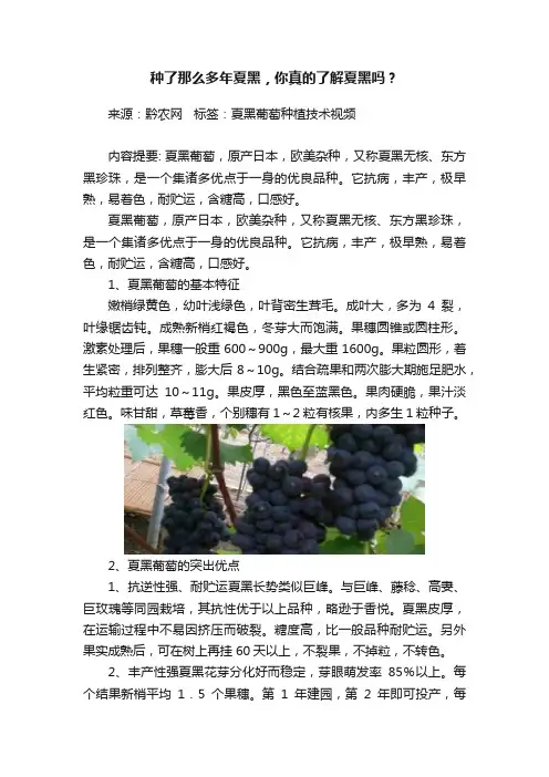 种了那么多年夏黑，你真的了解夏黑吗？