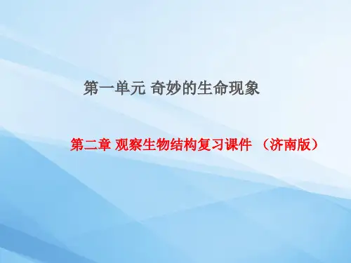 1.2观察生物结构复习课件-2023-2024学年济南版生物七年级上册