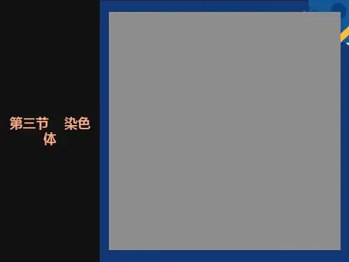 细胞核和染色体