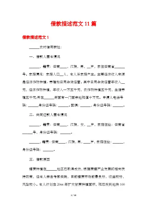 借款描述范文11篇