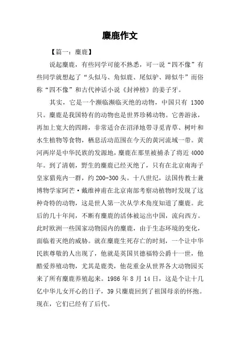 麋鹿作文