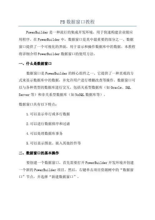 PB数据窗口教程
