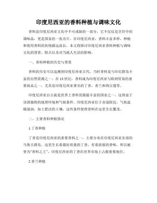 印度尼西亚的香料种植与调味文化