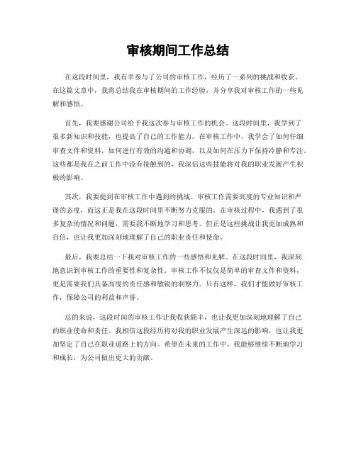 审核期间工作总结