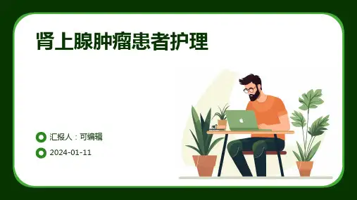 肾上腺肿瘤患者护理ppt