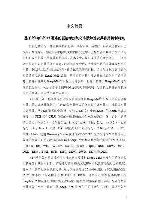 基于keap1-nrf2通路的蛋清源抗氧化小肽筛选及其作用机制研究