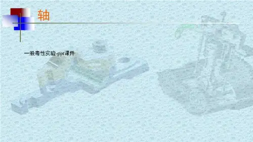 一般毒性实验-ppt课件