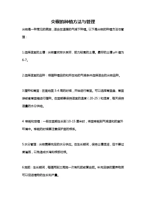 尖椒的种植方法与管理