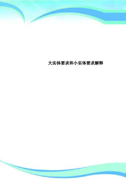 大实体要求和小实体要求解释