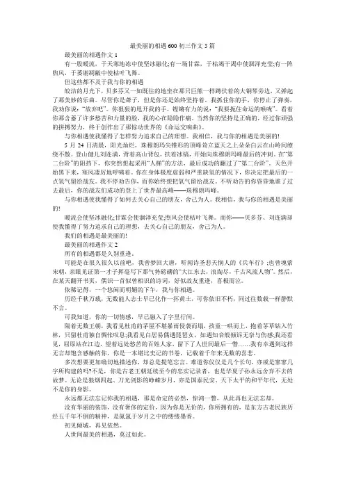 最美丽的相遇600初三作文5篇
