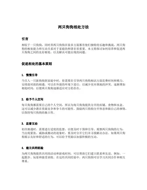 两只狗狗相处方法