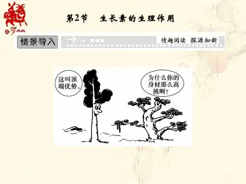 生物：3-2生长素的生理作用(必修3)(优秀课件)