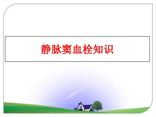 最新静脉窦血栓知识
