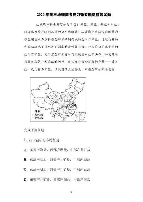 2020年高三地理高考复习微专题盐精选试题及答案解析(13页)