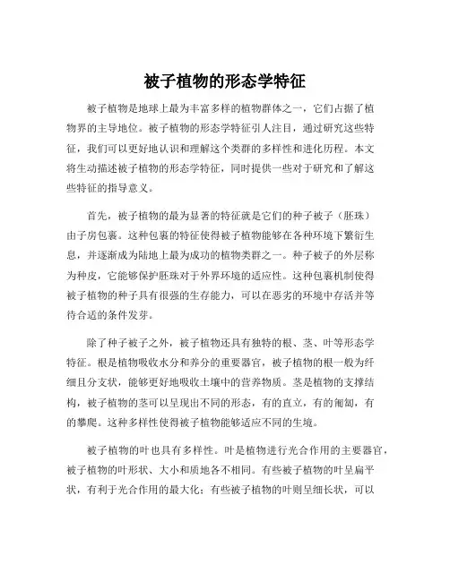 被子植物的形态学特征