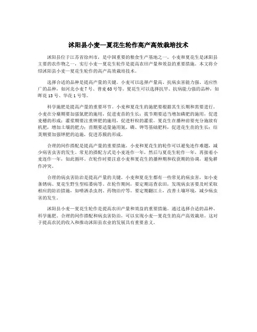 沭阳县小麦—夏花生轮作高产高效栽培技术