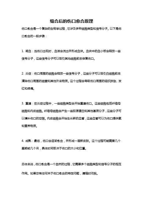 缝合后的伤口愈合原理