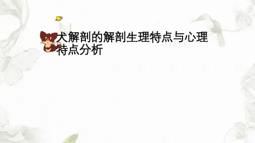 犬猫解剖生理特征课件