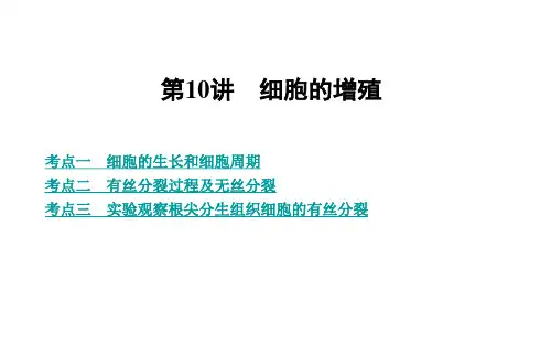 高三生物复习课件精品 第10讲 细胞的增殖