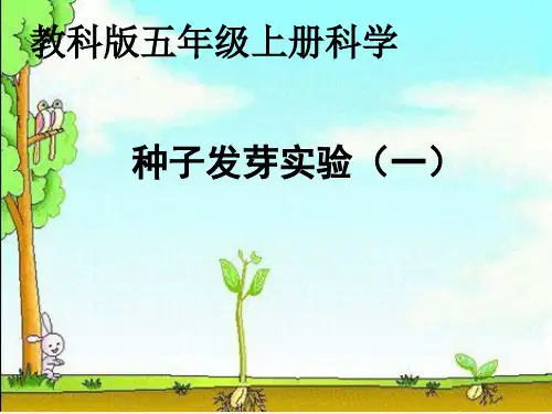 五年级科学上册_种子发芽实验(一)