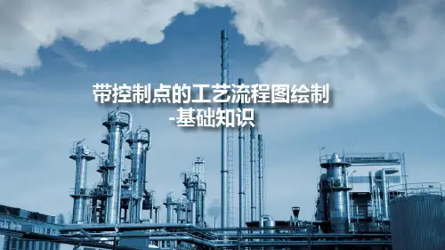 带控制点的工艺流程图绘制-基础知识