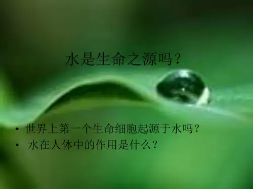 节约用水演示文稿