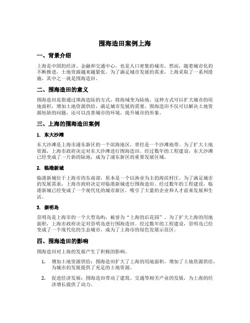 围海造田案例上海