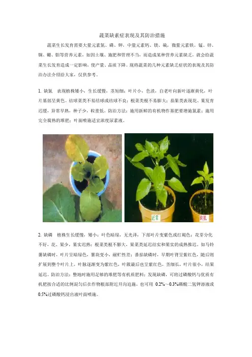 蔬菜缺素症表现及其防治措施