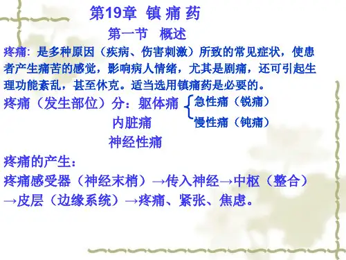 第19章镇痛药ppt课件