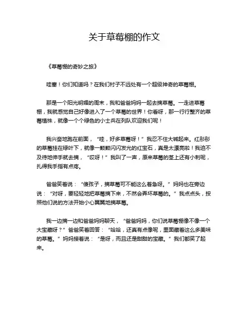 关于草莓棚的作文