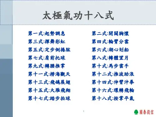太极气功18式.