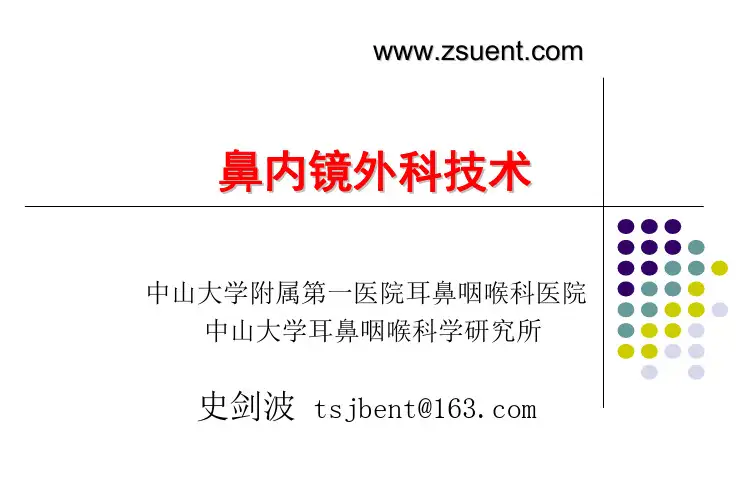 鼻内镜外科技术-史剑波
