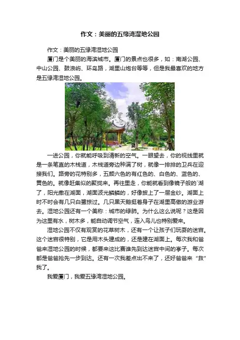 作文：美丽的五缘湾湿地公园