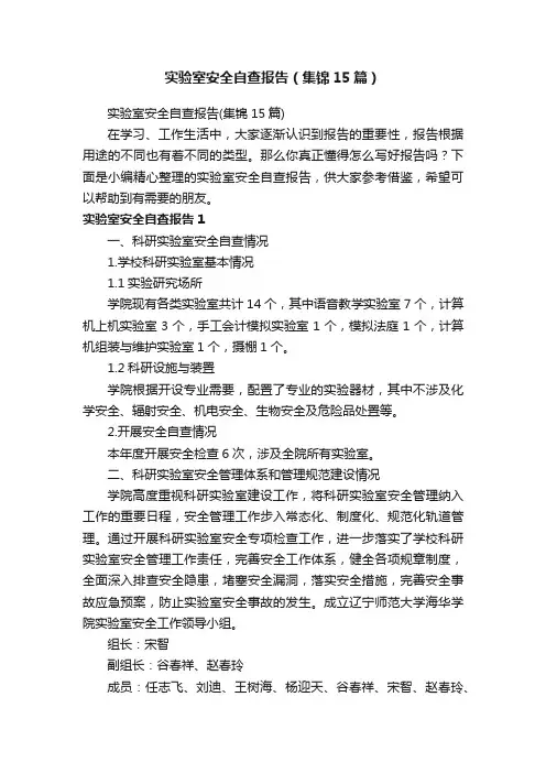 实验室安全自查报告（集锦15篇）