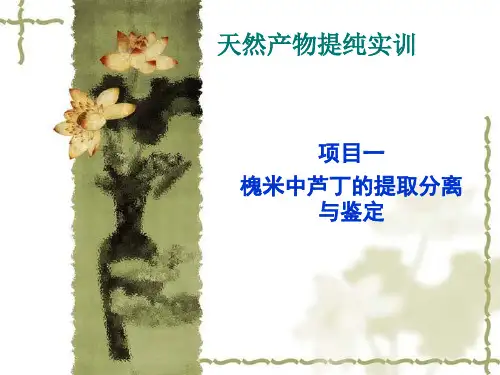槐米中芦丁的提取分离与鉴定.
