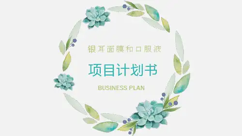 面膜商业计划书 小清新