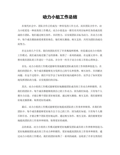 动力小组工作总结
