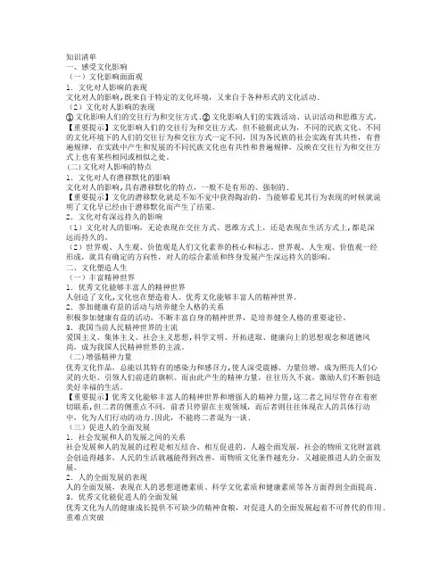 文化对人的影响 教案