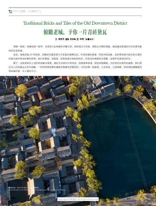 俯瞰老城，予你一片青砖黛瓦Traditional_Bricks_and_Tiles_of_the_O