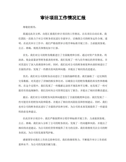 审计项目工作情况汇报