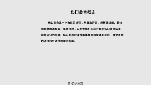 伤口处理TIME原则PPT课件